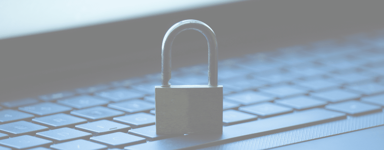 Privacy Policy v1